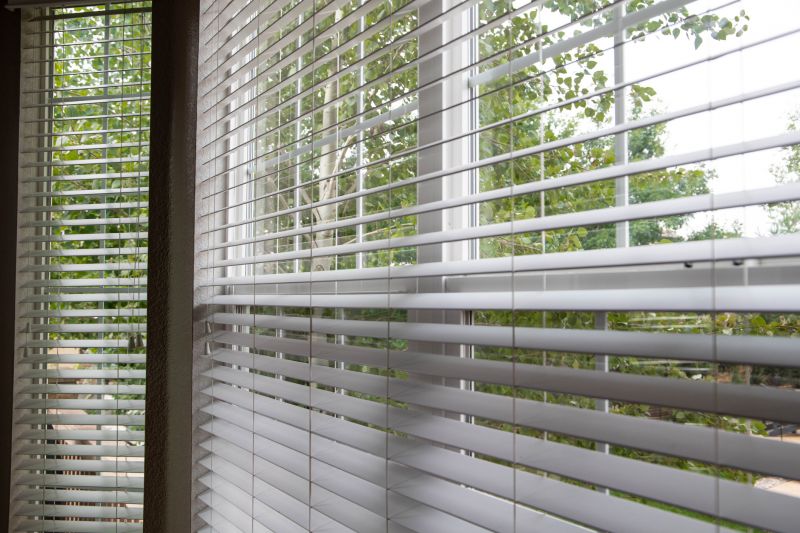 Blinds Replacement