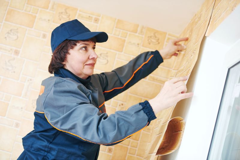 Wallpaper Border Installation in Olathe, KS