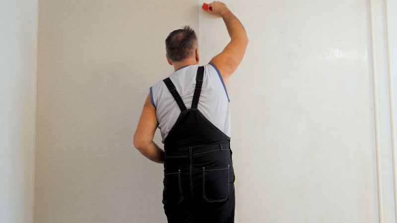 Wallpaper Seam Repair in Denver County, CO