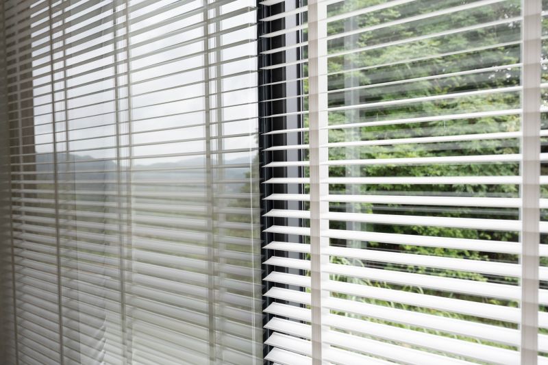 Window Blinds Cleaning in Madison, WI